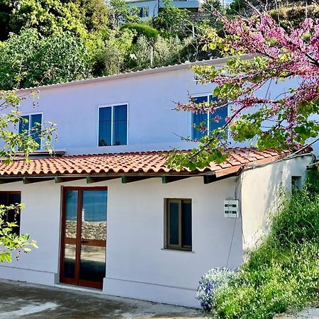 Villa Kate ボルシュ エクステリア 写真